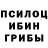 Псилоцибиновые грибы Psilocybe Vladislav Vovk