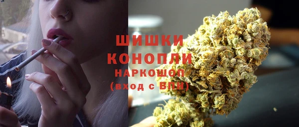 ПСИЛОЦИБИНОВЫЕ ГРИБЫ Белоозёрский