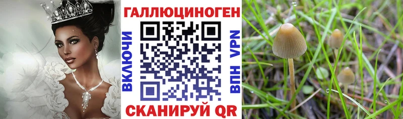 Псилоцибиновые грибы мухоморы  Югорск 